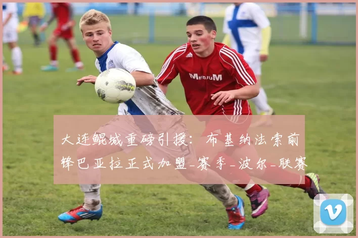 大连鲲城重磅引援：布基纳法索前锋巴亚拉正式加盟_赛季_波尔_联赛