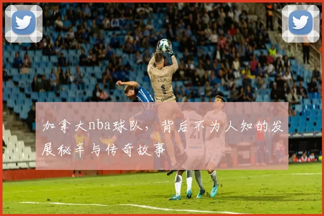加拿大nba球队,背后不为人知的发展秘辛与传奇故事