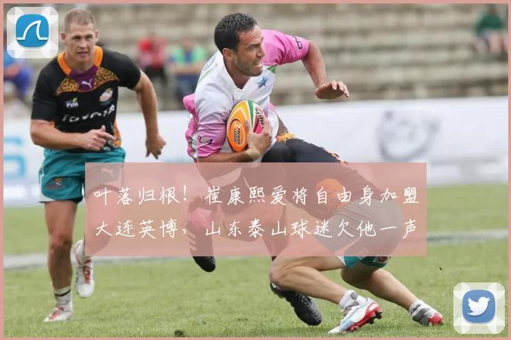 叶落归根！崔康熙爱将自由身加盟大连英博，山东泰山球迷欠他一声“对不起”