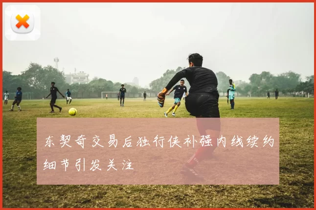 东契奇交易后独行侠补强内线续约细节引发关注