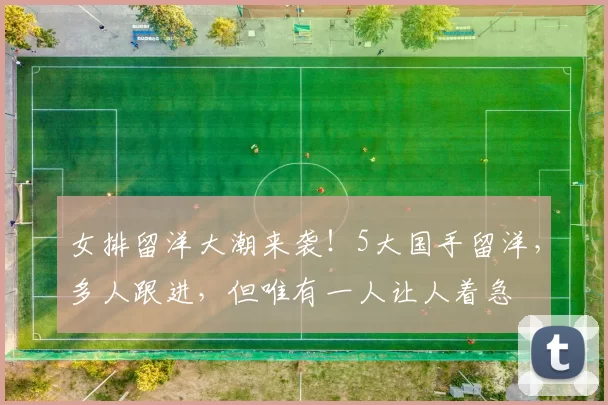 女排留洋大潮来袭！5大国手留洋，多人跟进，但唯有一人让人着急