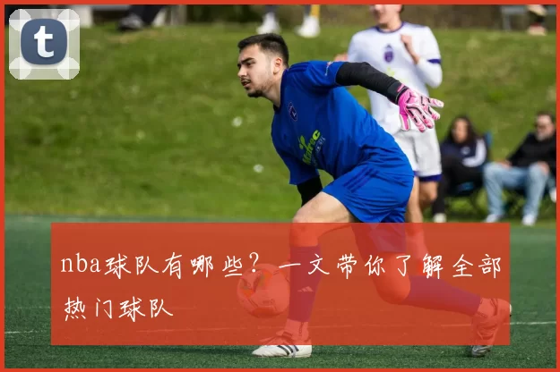 nba球队有哪些?一文带你了解全部热门球队
