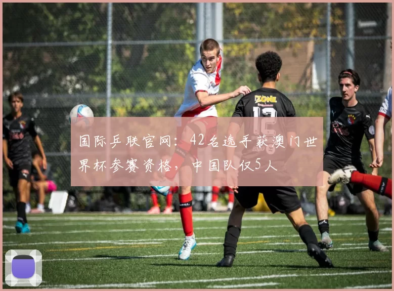 国际乒联官网：42名选手获澳门世界杯参赛资格，中国队仅5人
