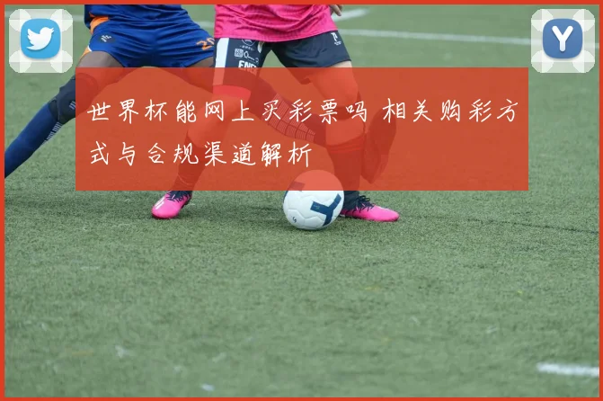 世界杯能网上买彩票吗 相关购彩方式与合规渠道解析