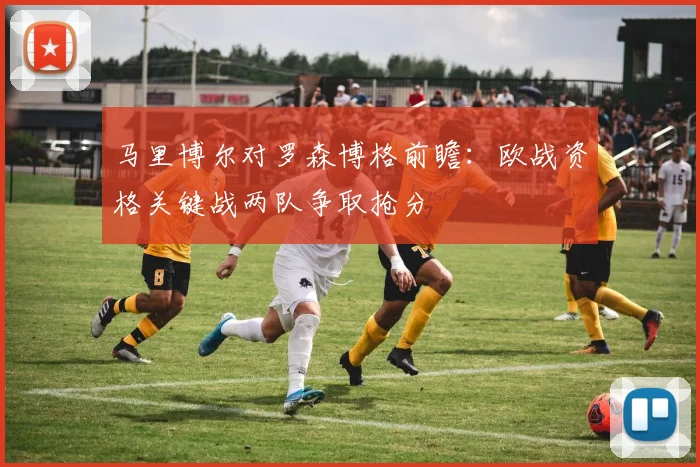 马里博尔对罗森博格前瞻：欧战资格关键战两队争取抢分