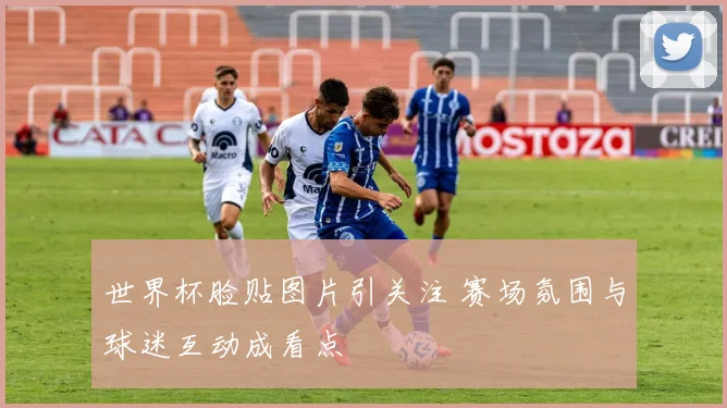 世界杯脸贴图片引关注 赛场氛围与球迷互动成看点