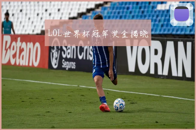 LOL世界杯冠军奖金揭晓