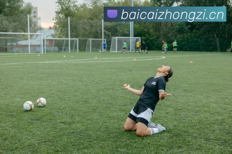 辅助工具 辅助工具